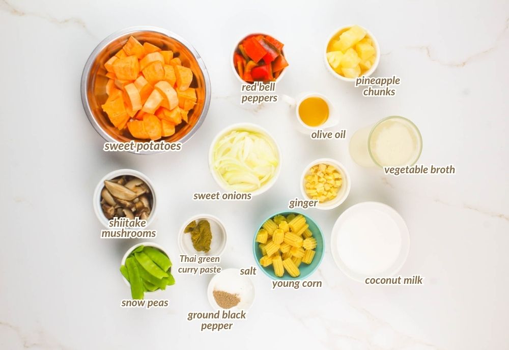 list of vegetable thai green curry ingredients