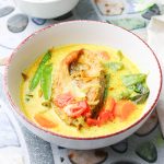 delicious thai fish curry in a white bowl